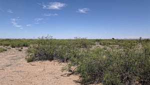 2.5 Acre Lot in Sunny New Mexico (APN: 3-037-143-167-412) - Call Us at 618-496-6107