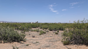 2.5 Acre Lot in Sunny New Mexico (APN: 3-037-143-167-412) - Call Us at 618-496-6107