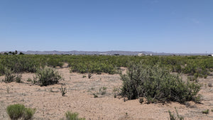 2.5 Acre Lot in Sunny New Mexico (APN: 3-037-143-167-412) - Call Us at 618-496-6107