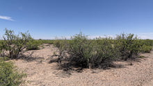 Load image into Gallery viewer, 2.5 Acre Lot in Sunny New Mexico (APN: 3-037-143-167-412) - Call Us at 618-496-6107
