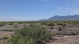 2.5 Acre in Luna County, NM Own for $375 Per Month (3-037-143-167-380)