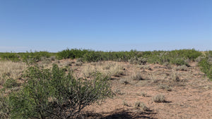 1 Acre in Luna County, NM (3036156056102, 3036156045102)