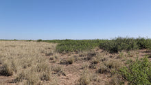 Load image into Gallery viewer, 1 Acre in Luna County, NM (APN: 3036156033033, 3036156045033)
