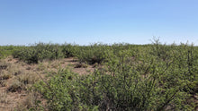 Load image into Gallery viewer, 1 Acre in Luna County, NM (APN: 3036156033033, 3036156045033)
