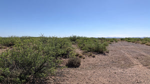 1 Acre in Luna County, NM (APN: 3036156033033, 3036156045033)