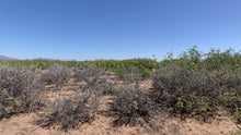 Load image into Gallery viewer, 1 Acre in Luna County, NM (APN: 3036156033033, 3036156045033)
