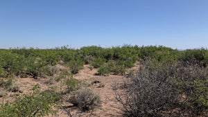 1 Acre in Luna County, NM (APN: 3036156033033, 3036156045033)