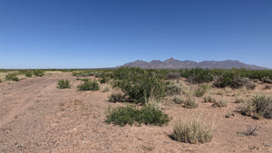 1 Acre in Luna County, NM (APN: 3036156033033, 3036156045033)