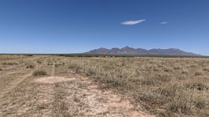 1 Acre in Luna County, NM (Parcel Number: 3036155111469, 3036155123469)