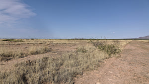 1 Acre in Luna County, NM (3033154456368 & 3033154444368)