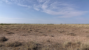 1 Acre in Luna County, NM (3033154456368 & 3033154444368)