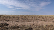 Load image into Gallery viewer, 0.5 Acre in Luna County, NM Own for $125 Per Month (Parcel Number: 3033154421367)
