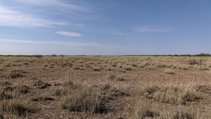 0.5 Acre in Luna County, NM Own for $125 Per Month (Parcel Number: 3033154421367)