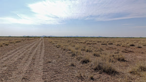 0.5 Acre in Luna County, NM Own for $125 Per Month (Parcel Number: 3033154421367)