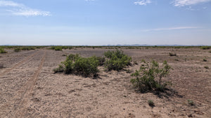 1.5 Acre in Luna County, NM Own for $250 Per Month (Parcel Number: 3033144403249, 3033144391249, & 3033144380248)