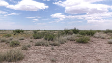 Load image into Gallery viewer, 1 Acre in Luna County, NM (Parcel Number: 3032144231396 &amp; 3032144219395)
