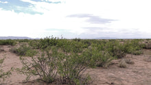 Load image into Gallery viewer, 1 Acre in Luna County, NM (Parcel Number: 3032144231396 &amp; 3032144219395)
