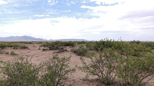 1 Acre in Luna County, NM (Parcel Number: 3032144231396 & 3032144219395)