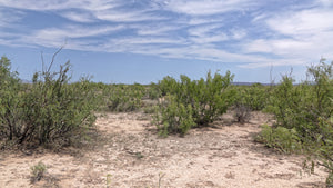 1 Acre in Luna County, NM Own for $199 Per Month (Parcel Number: 3032144208395 & 3032144197395)