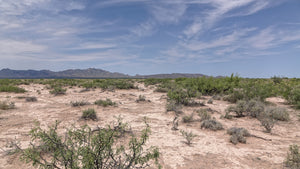 1 Acre in Luna County, NM Own for $199 Per Month (Parcel Number: 3032144208395 & 3032144197395)