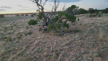 Load and play video in Gallery viewer, 18.78 Acres in Apache County, AZ(107-63-001M &amp; 107-63-001L)
