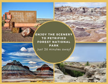 Load image into Gallery viewer, 0.21 Acre in Holbrook, Arizona - Own for $80 Per Month or $3000 (Parcel Number: 105-41-222) - Once Upon a Brick Inc. Land Investments
