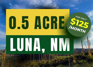 0.5 Acre in Luna County, NM Own for $125 Per Month (Parcel Number: 3033154421367) - Once Upon a Brick Inc. Land Investments