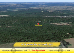 0.79 Acres in Ozark County, MO Own for $199 Per Month (Parcel Number: 17-0.4-20-004-002-074.00) - Once Upon a Brick Inc. Land Investments