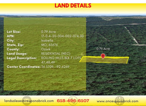 0.79 Acres in Ozark County, MO Own for $199 Per Month (Parcel Number: 17-0.4-20-004-002-074.00) - Once Upon a Brick Inc. Land Investments