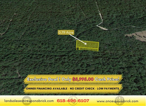 0.79 Acres in Ozark County, MO Own for $199 Per Month (Parcel Number: 17-0.4-20-004-002-074.00) - Once Upon a Brick Inc. Land Investments