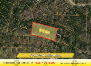 0.79 Acres in Ozark County, MO Own for $199 Per Month (Parcel Number: 17-0.4-20-004-002-074.00) - Once Upon a Brick Inc. Land Investments