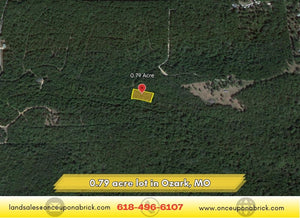 0.79 Acres in Ozark County, MO Own for $199 Per Month (Parcel Number: 17-0.4-20-004-002-074.00) - Once Upon a Brick Inc. Land Investments