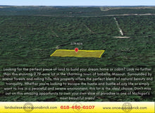 Load image into Gallery viewer, 0.79 Acres in Ozark County, MO Own for $199 Per Month (Parcel Number: 17-0.4-20-004-002-074.00) - Once Upon a Brick Inc. Land Investments
