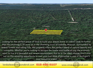 0.79 Acres in Ozark County, MO Own for $199 Per Month (Parcel Number: 17-0.4-20-004-002-074.00) - Once Upon a Brick Inc. Land Investments