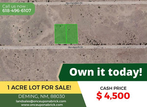 1 Acre in Luna County, NM Own for $199 Per Month (Parcel Number: 3033144379267 & 3033144390268) - Once Upon a Brick Inc. Land Investments