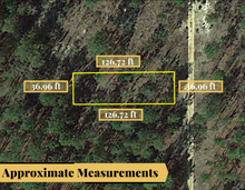 Load image into Gallery viewer, 0.11 Acres in Putnam County, Florida 32148 - Own for $120 Per Month - Once Upon a Brick Inc. Land Investments
