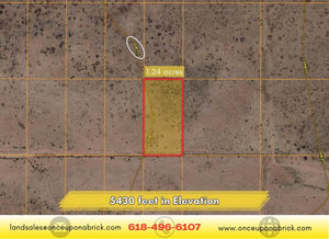 1.24 Acre in Navajo County, AZ Own for $175 Per Month (Parcel Number: 105-59-335) - Once Upon a Brick Inc. Land Investments
