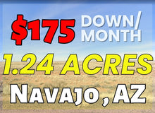 Load image into Gallery viewer, 1.24 Acre in Navajo County, AZ Own for $175 Per Month (Parcel Number: 105-59-335) - Once Upon a Brick Inc. Land Investments

