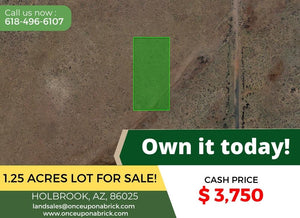 1.25 Acre in Navajo County, AZ Own for $170 Per Month (Parcel Number: 105-63-391) - Once Upon a Brick Inc. Land Investments