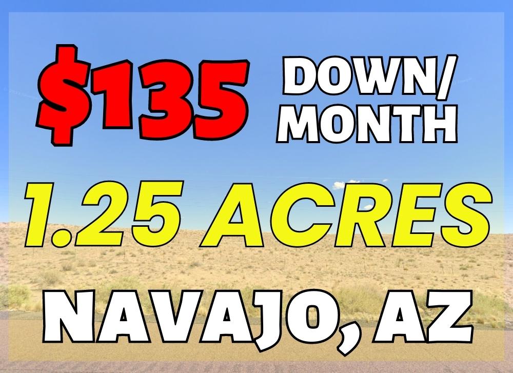 1.25 Acres in Navajo County, AZ Own for $135 Per Month (Parcel Number: 105-64-217) - Once Upon a Brick Inc. Land Investments