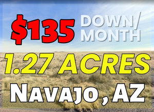 1.27 Acres in Navajo County, AZ Own for $135 Per Month (Parcel Number: 105-57-272) - Once Upon a Brick Inc. Land Investments