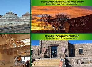2.5 Acre in Navajo County, AZ Own for $250 Per Month (Parcel Number: 105-57-266) - Once Upon a Brick Inc. Land Investments