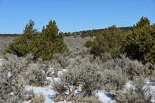 Load image into Gallery viewer, 5 Acres in Costilla County, CO Own for $349 Per Month (Parcel Number: 70702290) - Once Upon a Brick Inc. Land Investments

