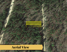 Load image into Gallery viewer, 0.11 Acres in Putnam County, Florida 32148 - Own for $120 Per Month - Once Upon a Brick Inc. Land Investments
