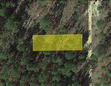 Load image into Gallery viewer, 0.11 Acres in Putnam County, Florida 32148 - Own for $120 Per Month - Once Upon a Brick Inc. Land Investments
