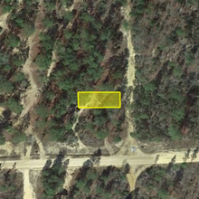 Load image into Gallery viewer, 0.11 Acres in Putnam County, Florida 32148 - Own for $120 Per Month - Once Upon a Brick Inc. Land Investments

