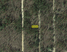 Load image into Gallery viewer, 0.11 Acres in Putnam County, Florida 32148 - Own for $120 Per Month - Once Upon a Brick Inc. Land Investments
