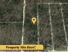 Load image into Gallery viewer, 0.11 Acres in Putnam County, Florida 32148 - Own for $120 Per Month - Once Upon a Brick Inc. Land Investments

