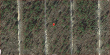 Load image into Gallery viewer, 0.20 Acres in Putnam County, Florida 32148 (Lots 46: Block 5, Cooper Lake Estates) - Own for $225 Per Month - Once Upon a Brick Inc. Land Investments
